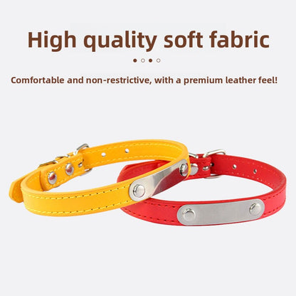 Customizable Engraving Pet Collar for Dogs and Cats
